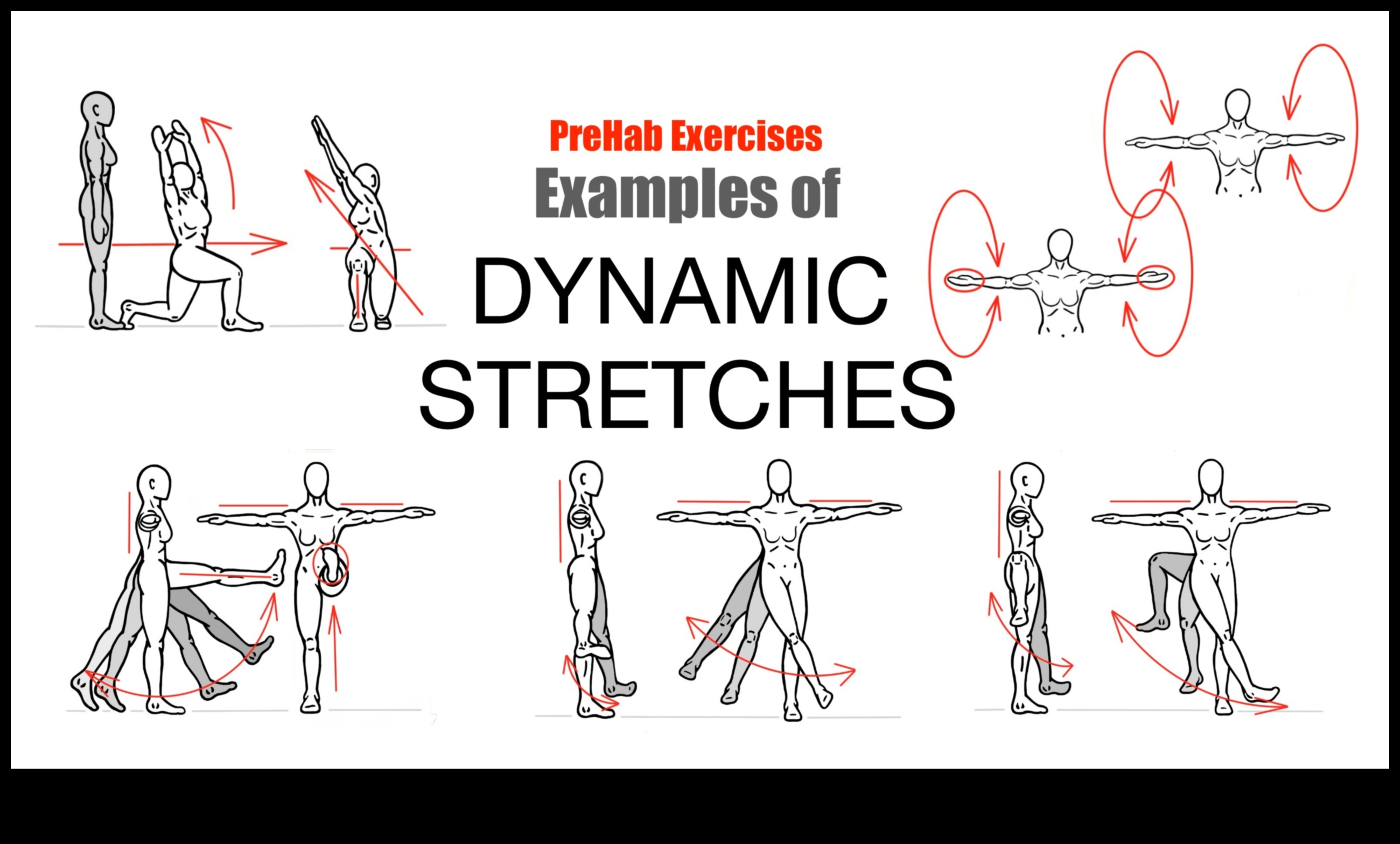 Dynamic Stretching Dynamics: Exploring the Art of Effective Stretching