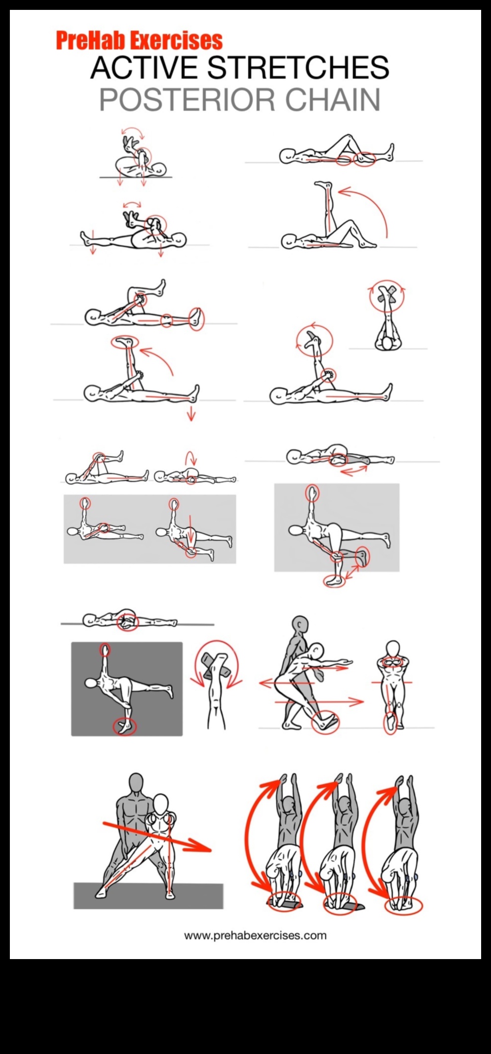 Dynamic Stretching Dynamics: Exploring the Art of Effective Stretching