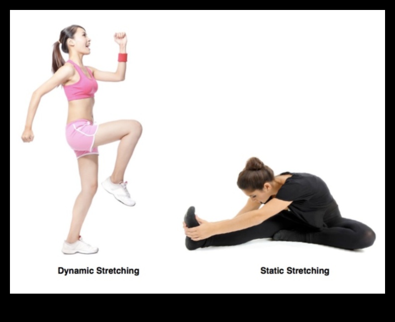 Dynamic Stretching Dynamics: Exploring Varieties for Success