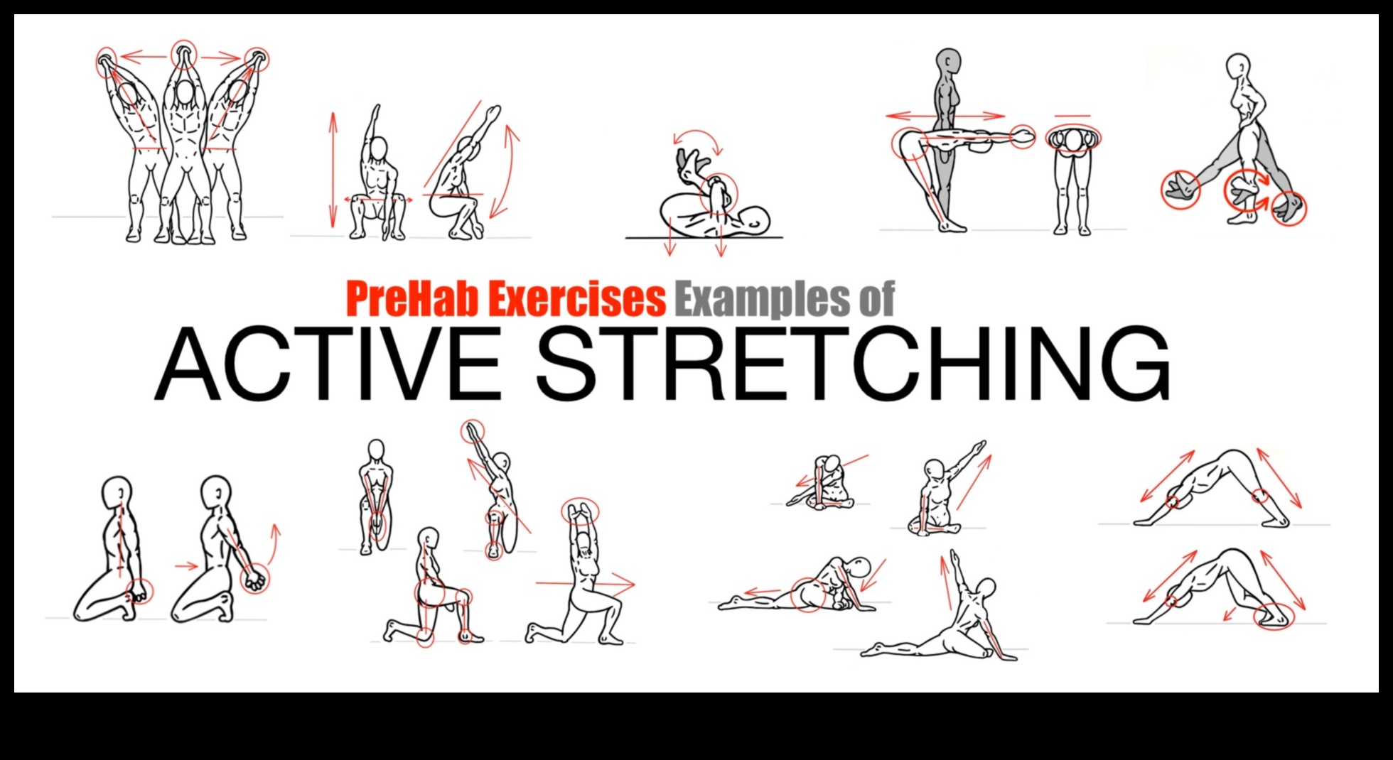 Elasticity Elegance: Mastering Stretching Techniques for a Graceful Body