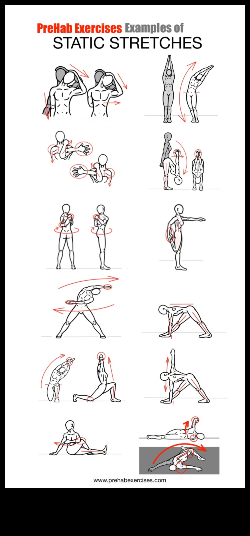 Elasticity Elegance: Mastering Stretching Techniques for a Graceful Body