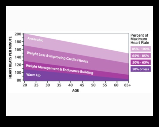 Elevate Your Pulse Get Your Heart Pumping for Peak Performance 1