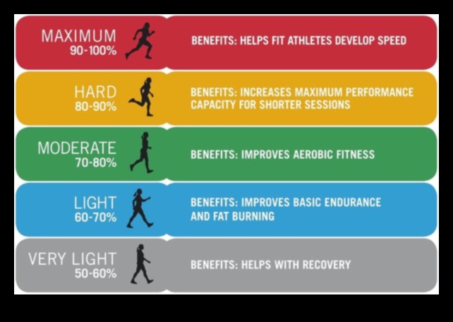 Elevate Your Pulse: Cardiovascular Workouts for Peak Performance