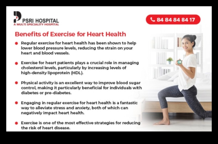 Elevate Your Pulse: The Magic of Cardiovascular Workouts