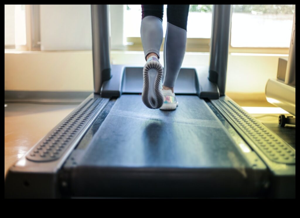 Elevate Your Routine with Innovative Exercise Equipment for Peak Performance 1