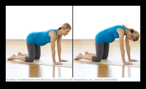 Elevate and Stretch: Pregnancy Workouts for a Strong Foundation