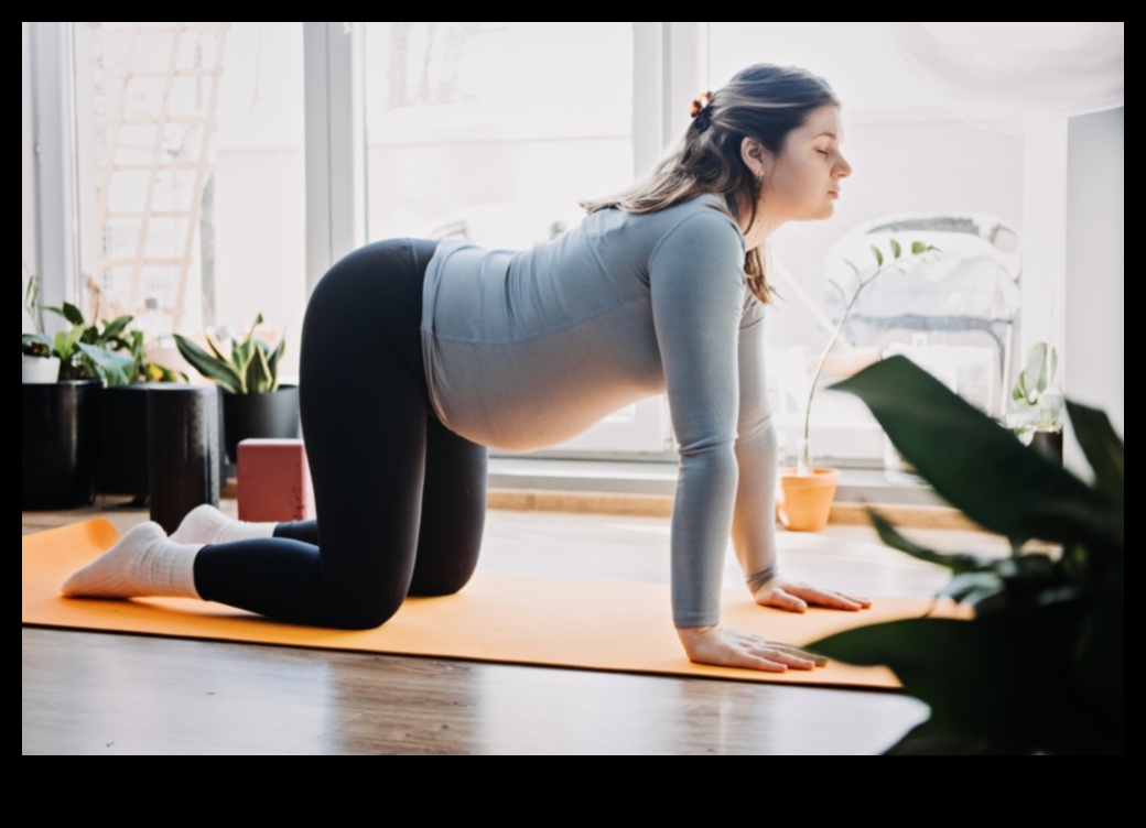 Elevate and Stretch: Pregnancy Workouts for a Strong Foundation