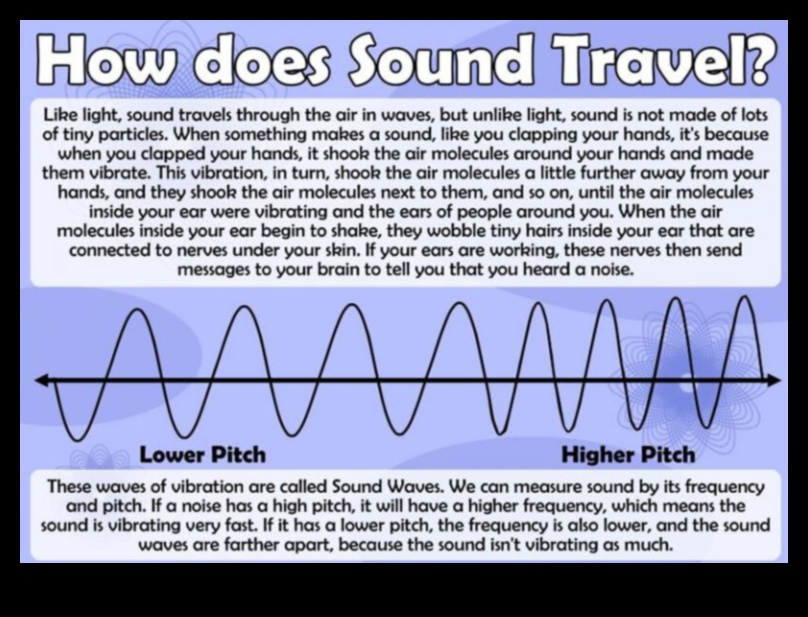 Embark Echo: Letting Your Travel Voice Resonate