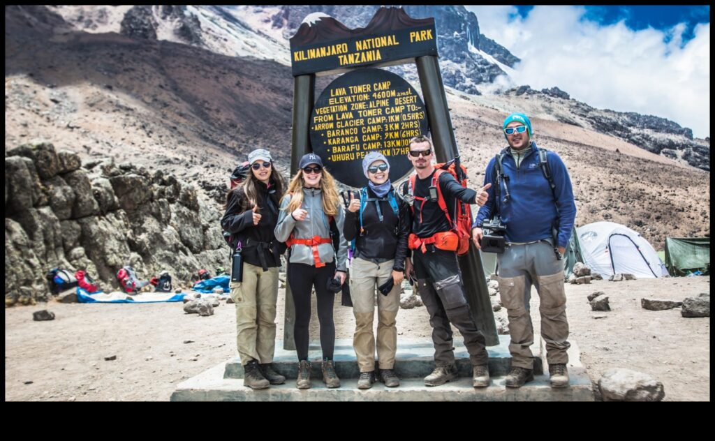 Embark Elevation Climb the Peaks of Travel Knowledge with Our Experts 1