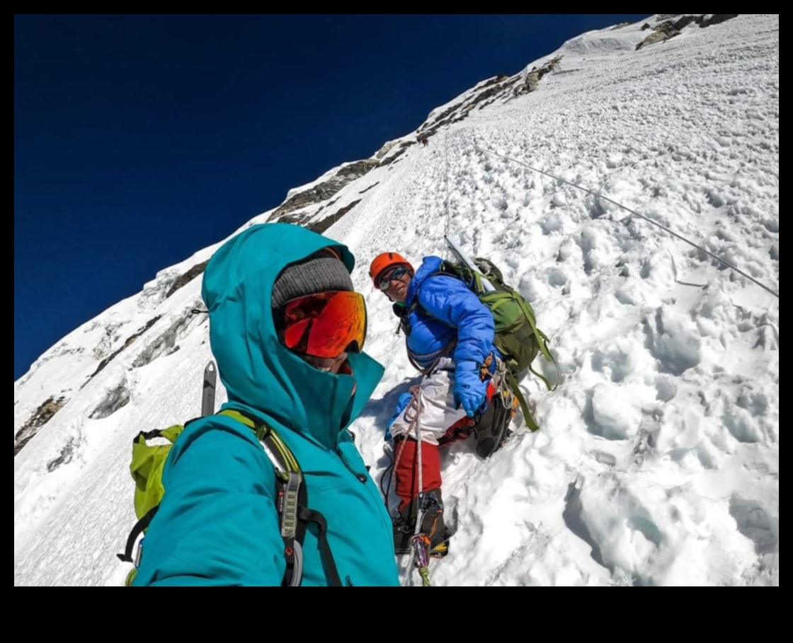 Embark Elevation: Climbing Peaks of Travel Knowledge