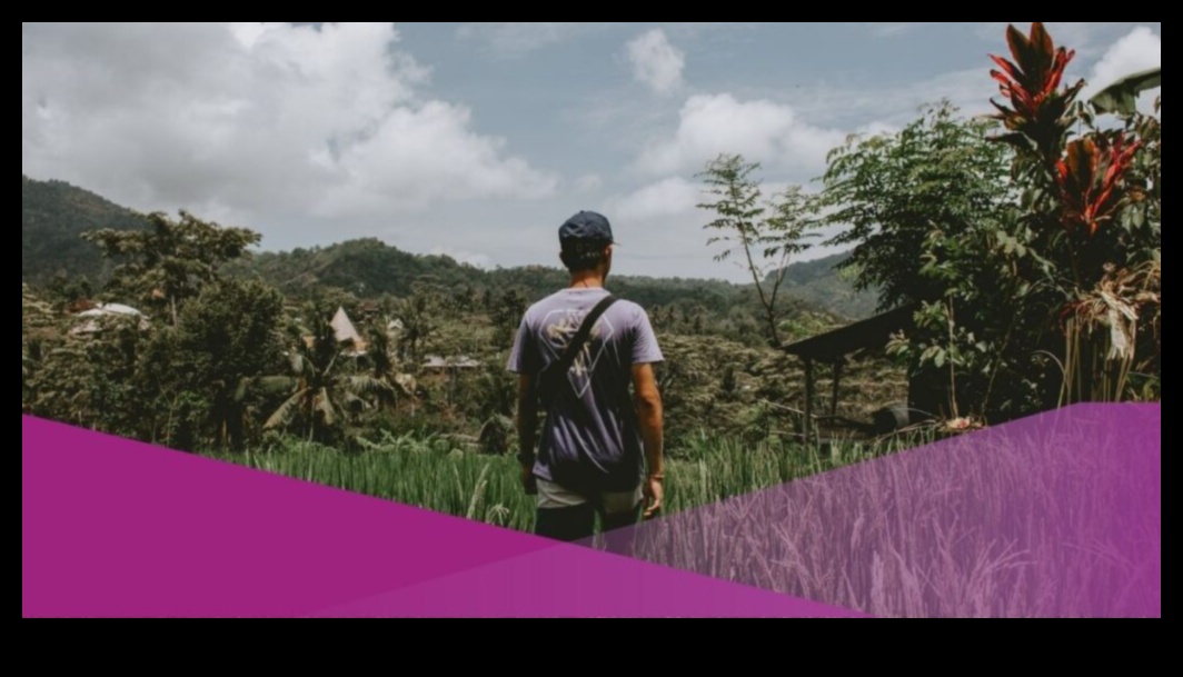 Embark Elysium: A Paradise of Profound Travel Tips