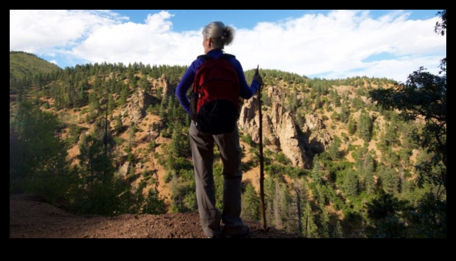 Embark on Elevation: Reaching New Heights with Essential Travel Tips