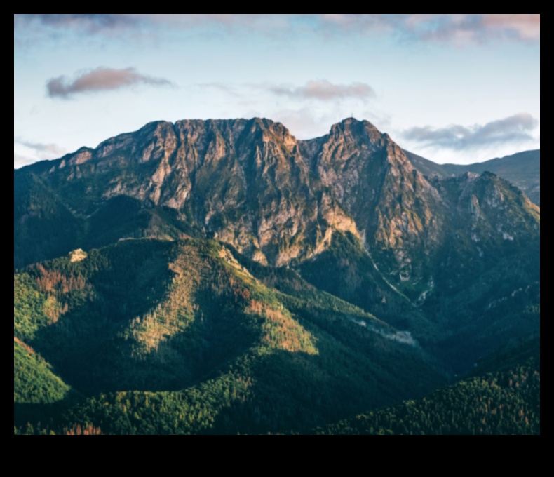 Embark on Elevation: A Traveler's Guide to New Heights