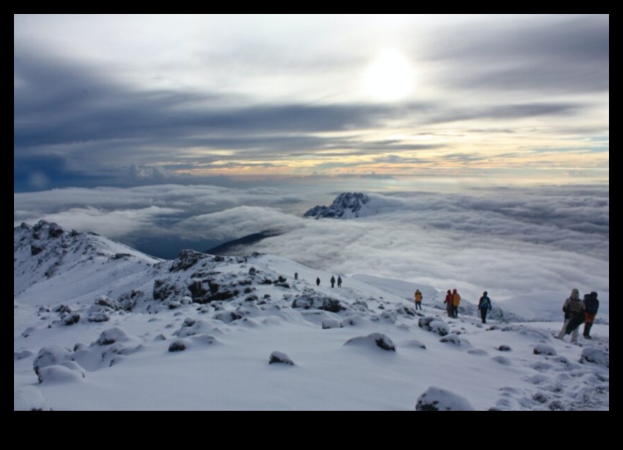 Embark on Elevation: A Traveler's Guide to New Heights