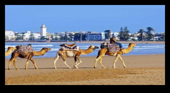 Embark on Excellence: The Ultimate Travel Guide