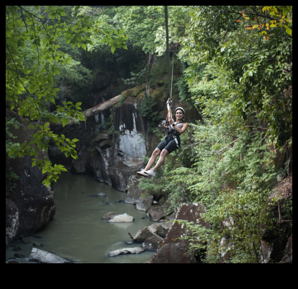 Embark on Exhilaration: A Traveler's Guide to Thrills