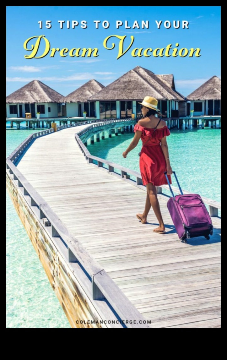 EmbarkEase: The Essence of Elegant and Effortless Planning