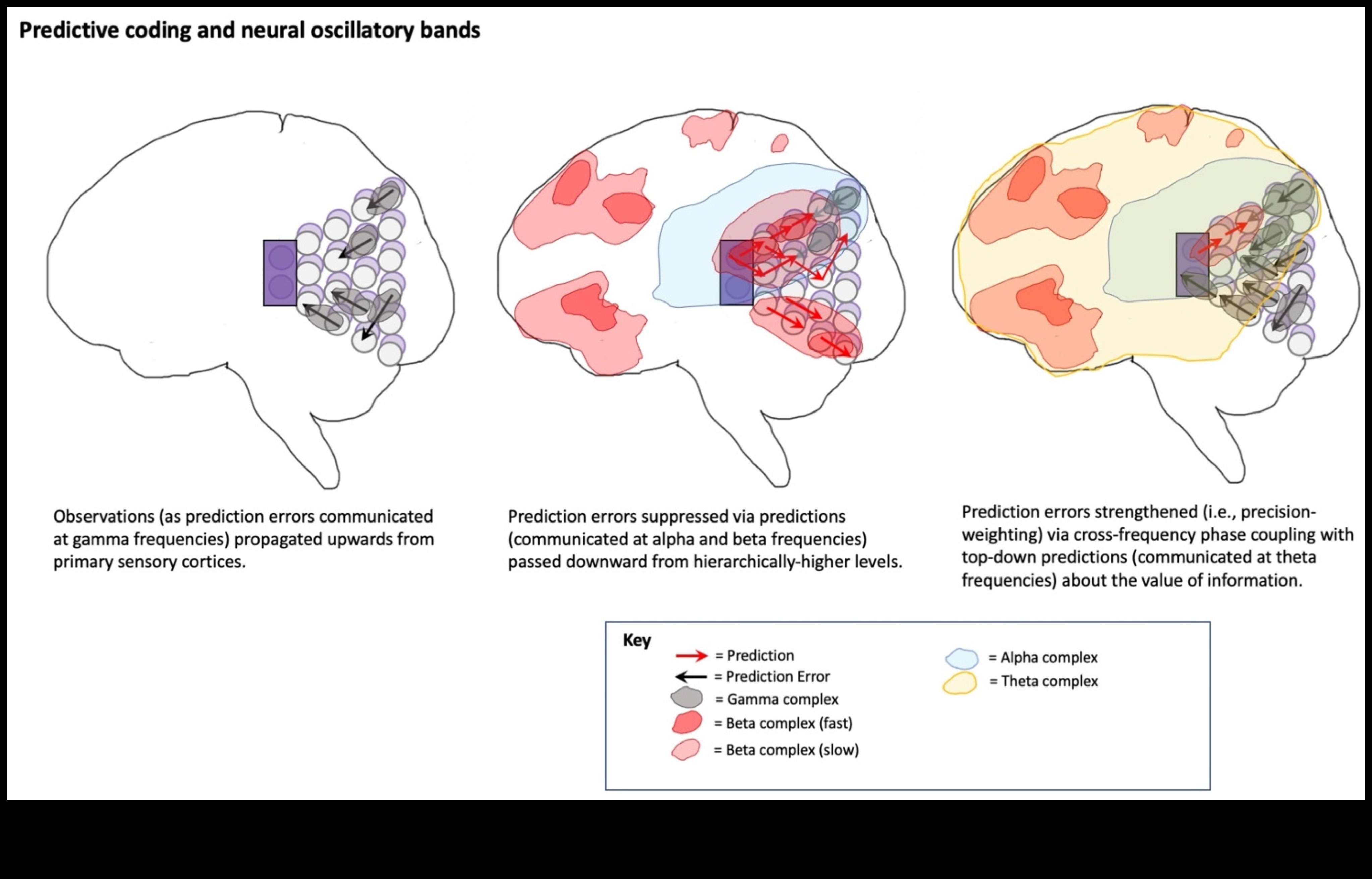 Embodied Presence Symphony: Strengthening Mind and Body Connection