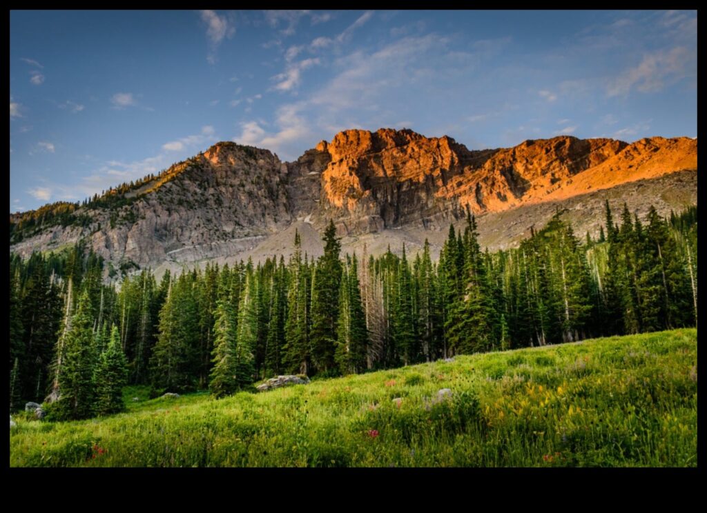 Ephemeral Elegance The Fleeting Beauty of Sightseeing 1