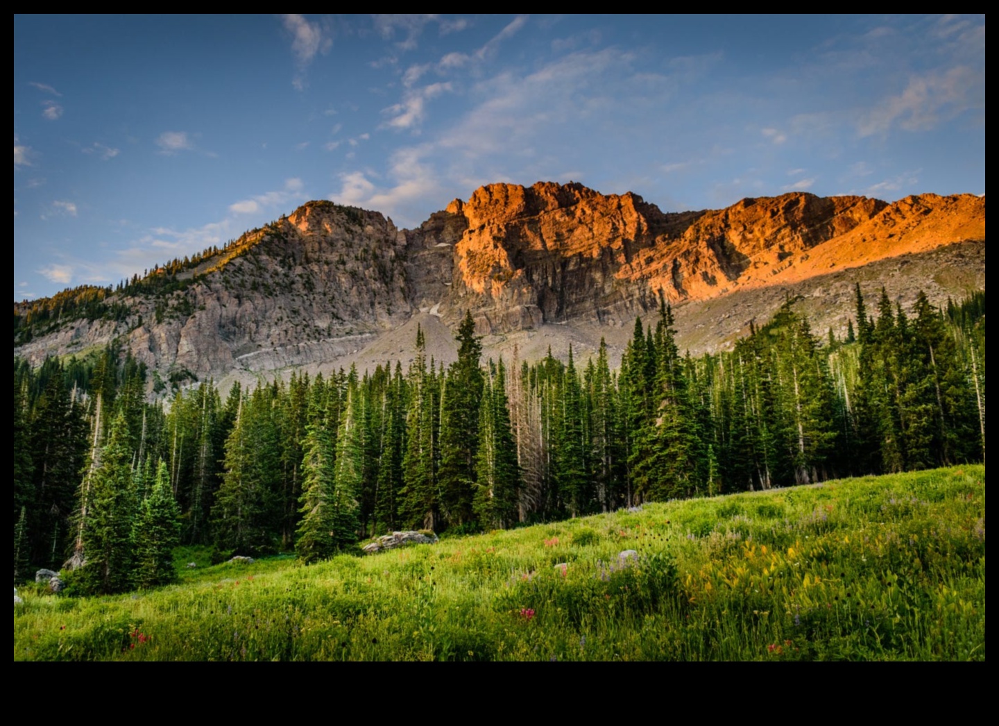 Ephemeral Elegance: Transient Beauty in Sightseeing