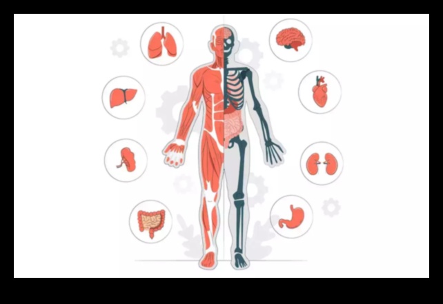 Exercise The Key to Optimal Organ Function 1