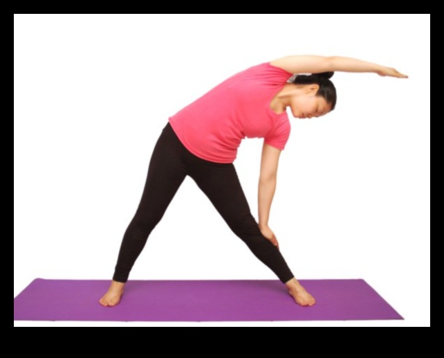 Optimal Organ Function: How Exercise Enhances Internal Systems