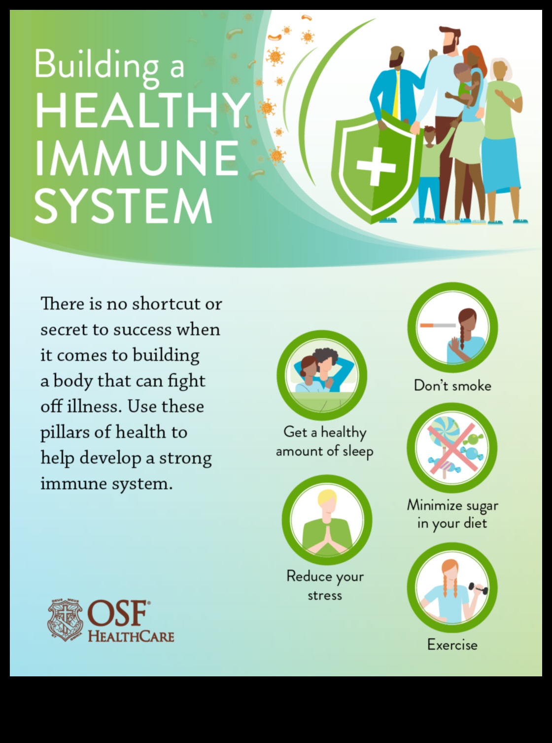 Immune System Ignition: How Exercise Strengthens Your Body's Defenses