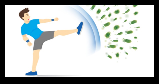 Immune System Ignition: How Exercise Strengthens Your Body's Defenses