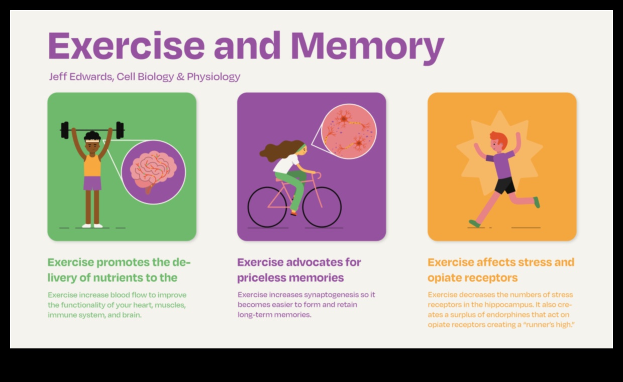 Exercise for Clarity: How Physical Activity Enhances Mental Focus