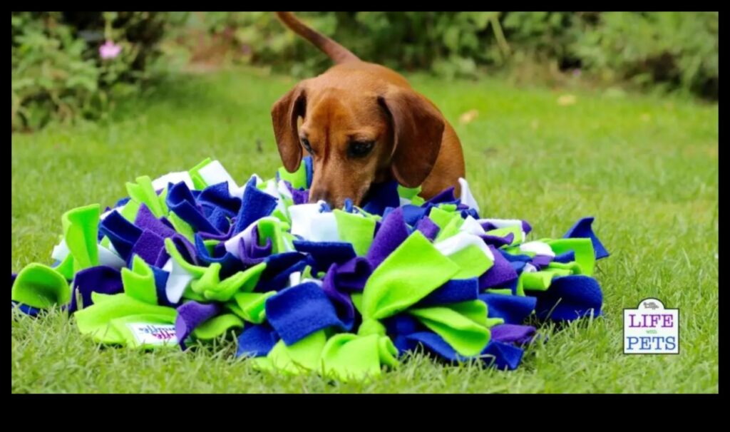 Exotic Pet Enrichment Stimulating Activities for Unique Pets 1