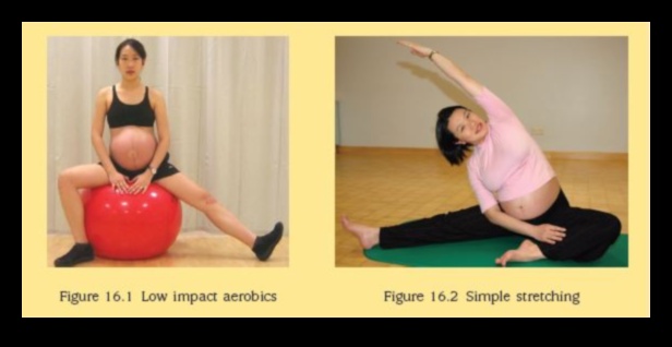 Expecting Energizer: Low-Impact Exercises for a Vital Pregnancy