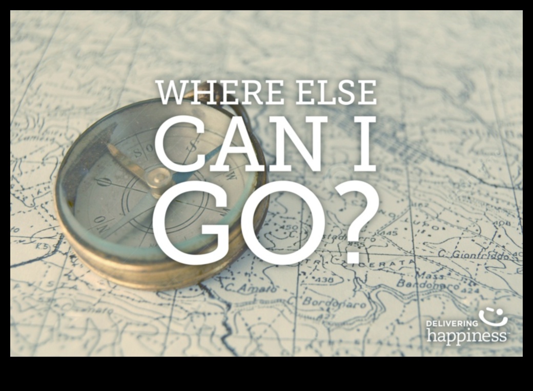 Explore Elevation: Elevate Your Travel IQ