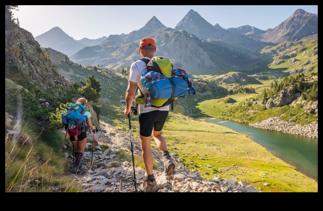 Historical Hikes: Navigating the Past on Walking Tours