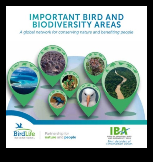 Exploring the Role of Birds in Environmental Conservation and Sustainability