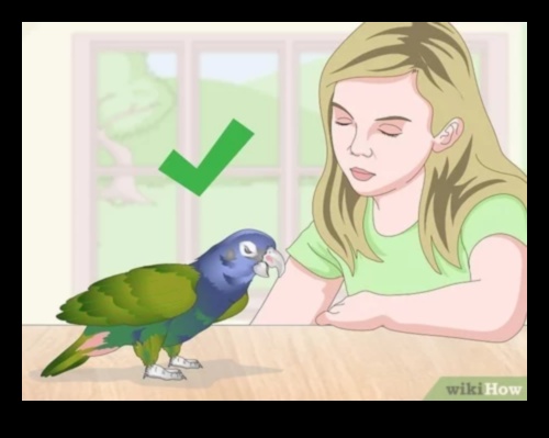 Feathered Friends Fashion Fiesta: Continuously Styling Your Pet Bird