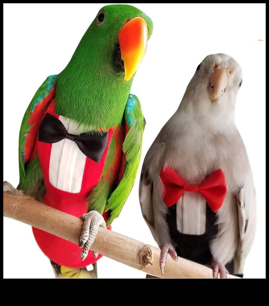 Feather Friends Fashion Fiesta Dress Up Your Pet Bird in the Latest Trends 1