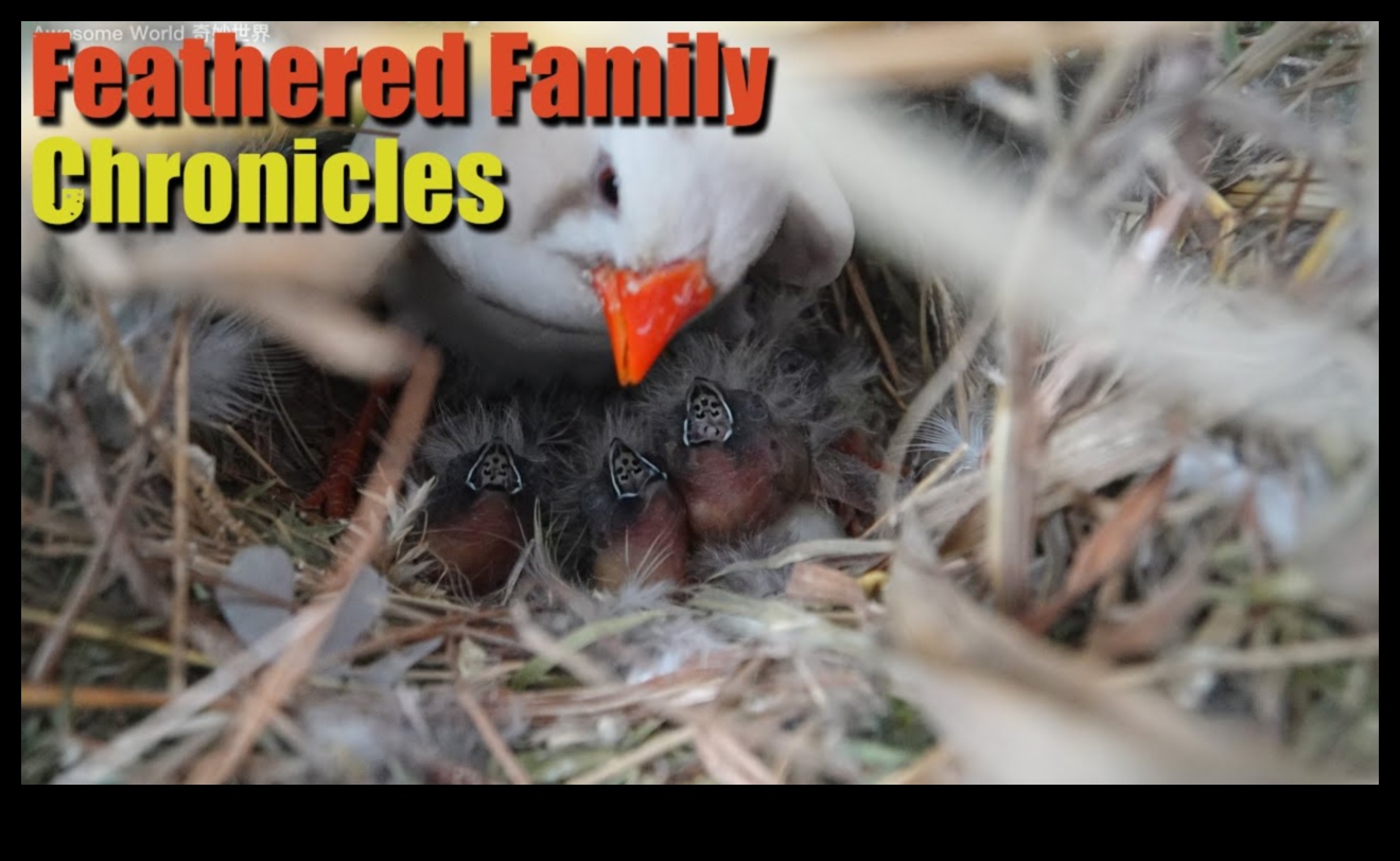 Feathered Families: A Look into Bird Parenting Behaviors