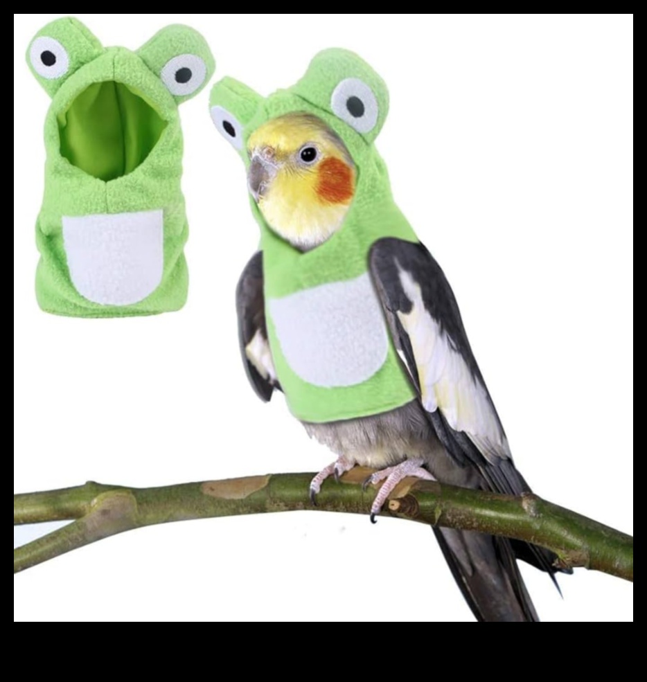 Feathered Fashion Show: Styling Pet Birds with Accessories