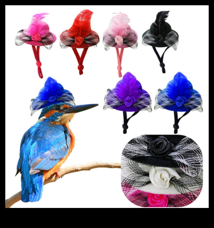 Feathered Fashionistas: Styling Your Pet Bird with Accessories