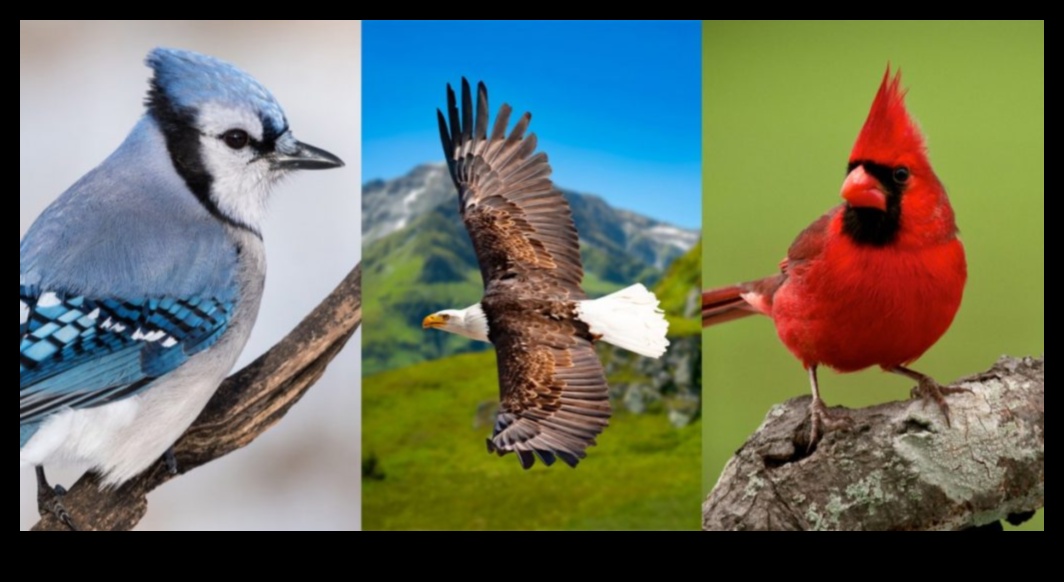 Feathered Folklore Continued: Cultural Representations of Birds