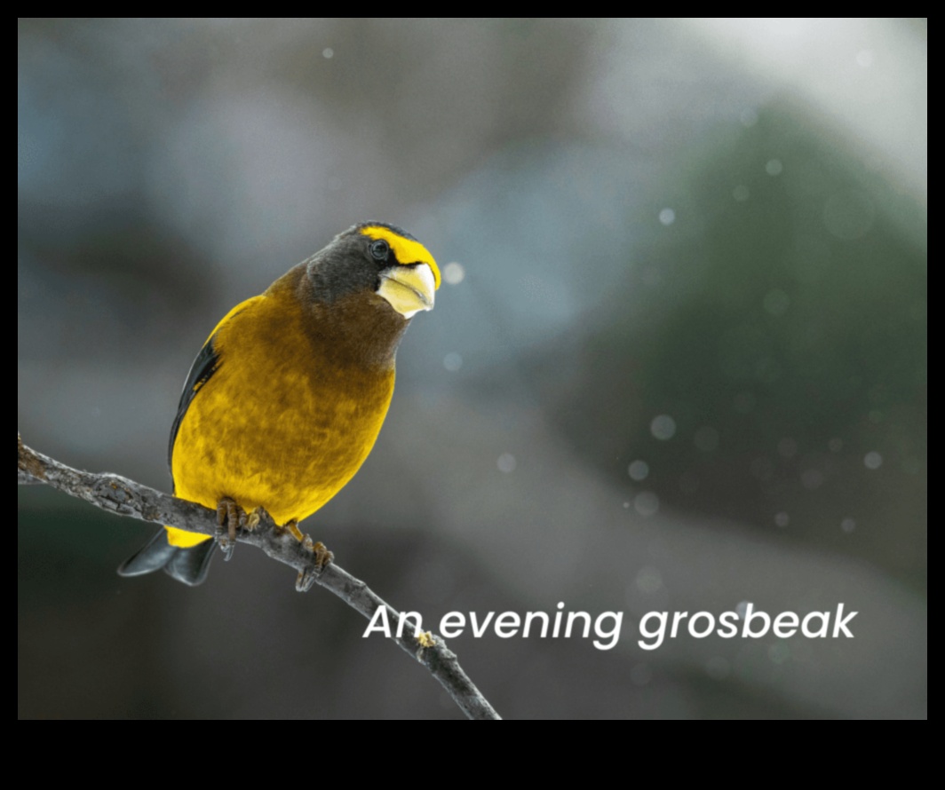 Feathered Friends Continued: Birds with Unique Feeding Behaviors