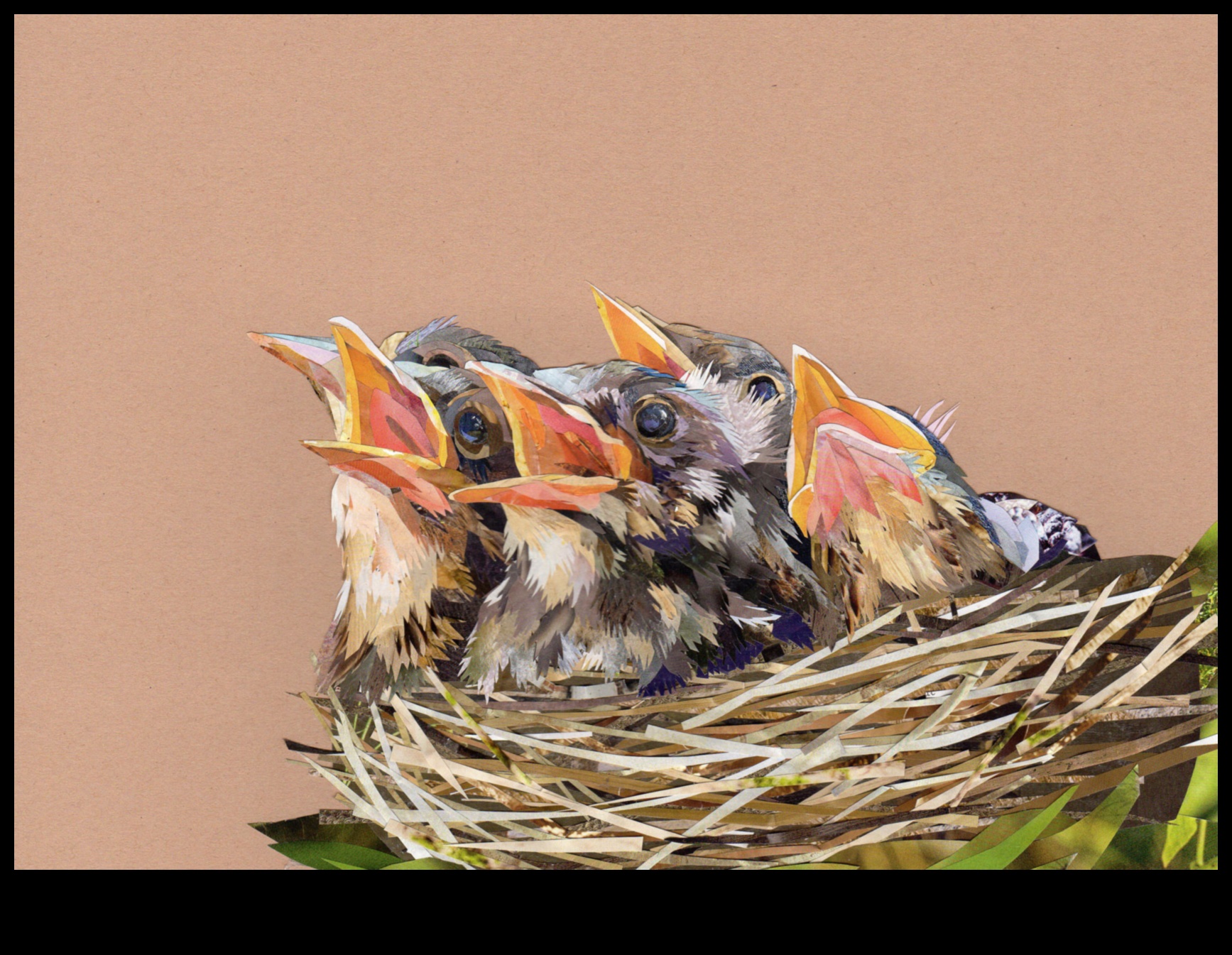 Feathered Friends Continued: Birds with Unique Nests