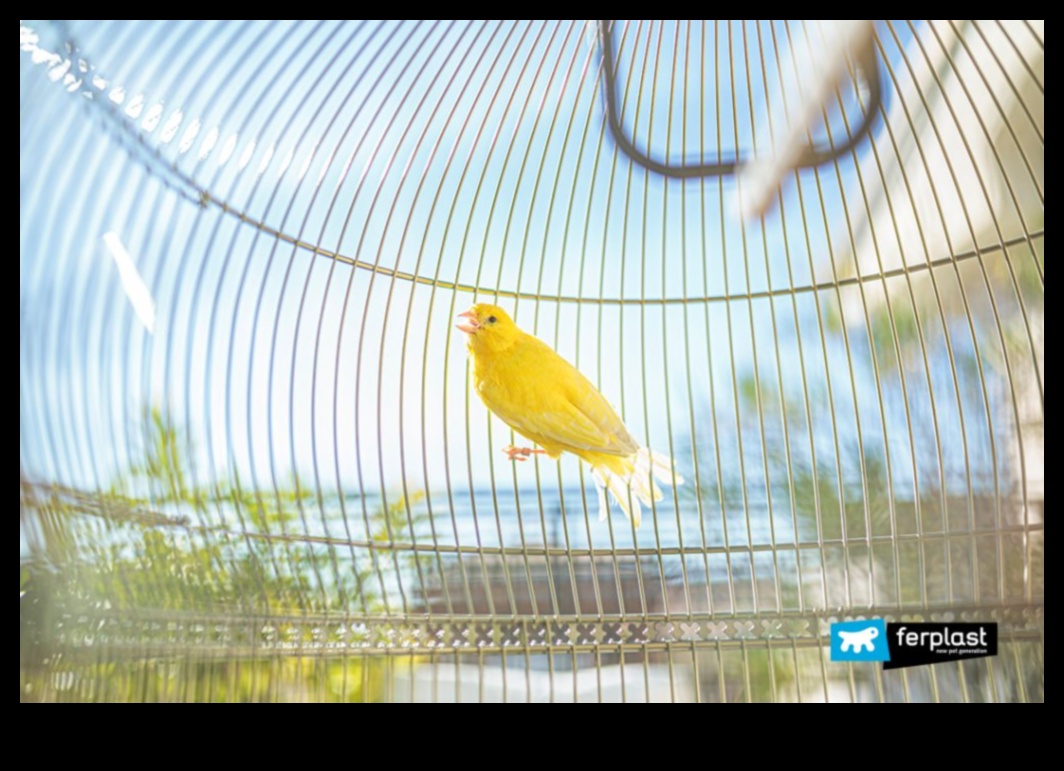 Feathered Friends Fashion Continued: Keeping Your Bird Stylish
