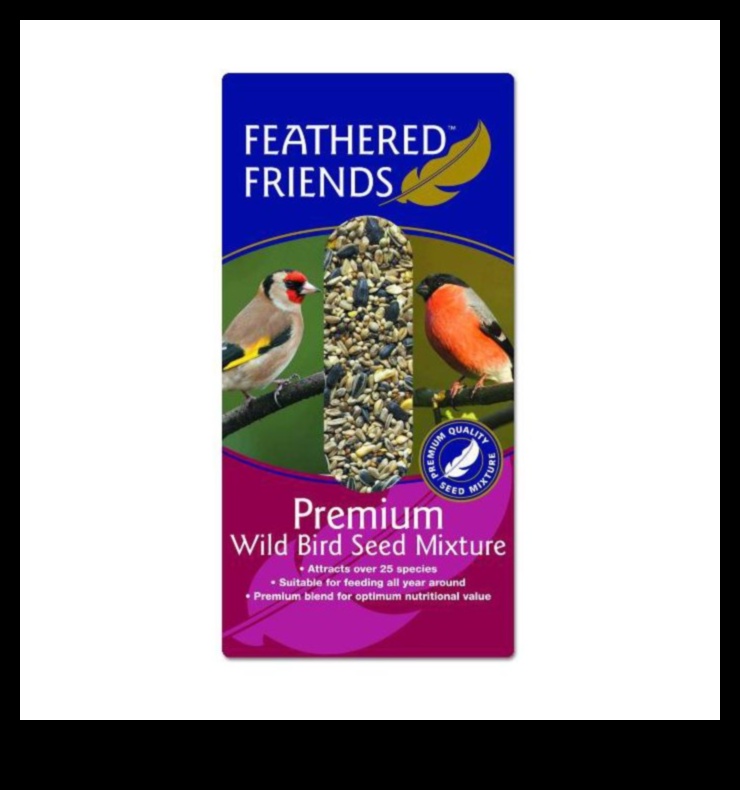 Feathered Friends Fashion Continued: Stylish Accessories for Your Pet Bird