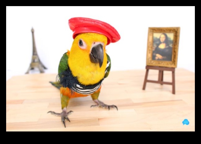 Feathered Friends Fashion Stylish Accessories to Dress Up Your Pet Birds 1