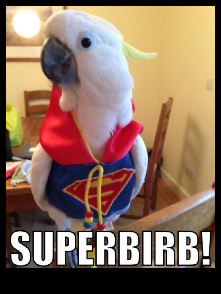 Feathered Friends Fashion: Stylish Accessories for Pet Birds