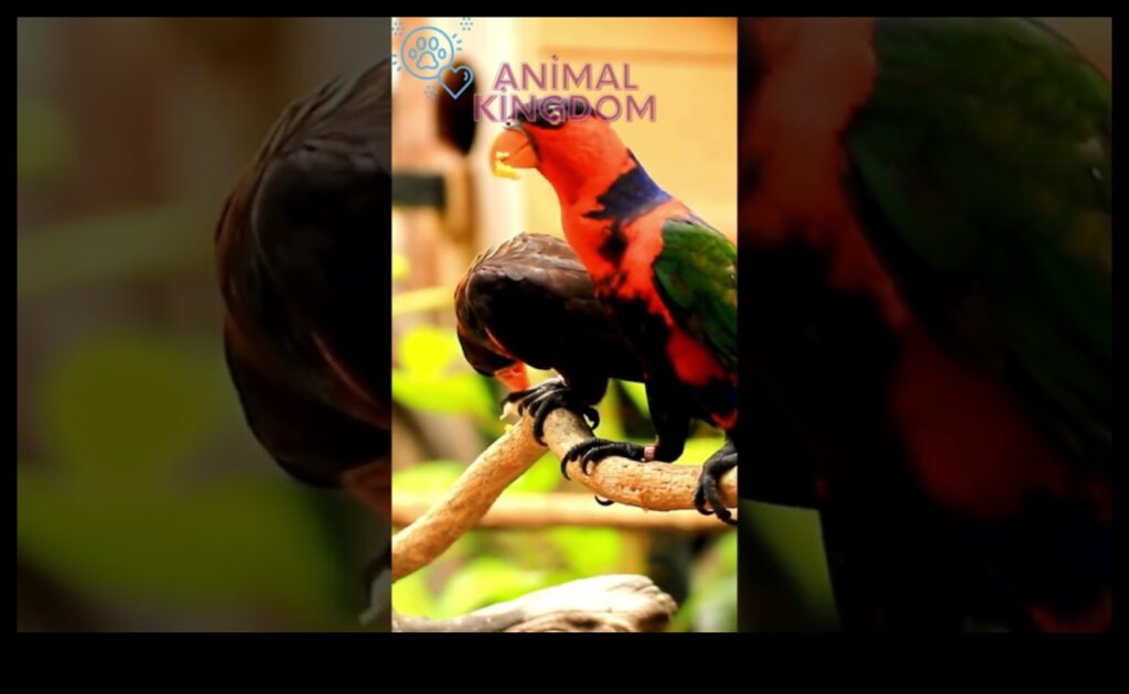 Feathered Friends' Fiesta Celebrating with Pet Birds 1