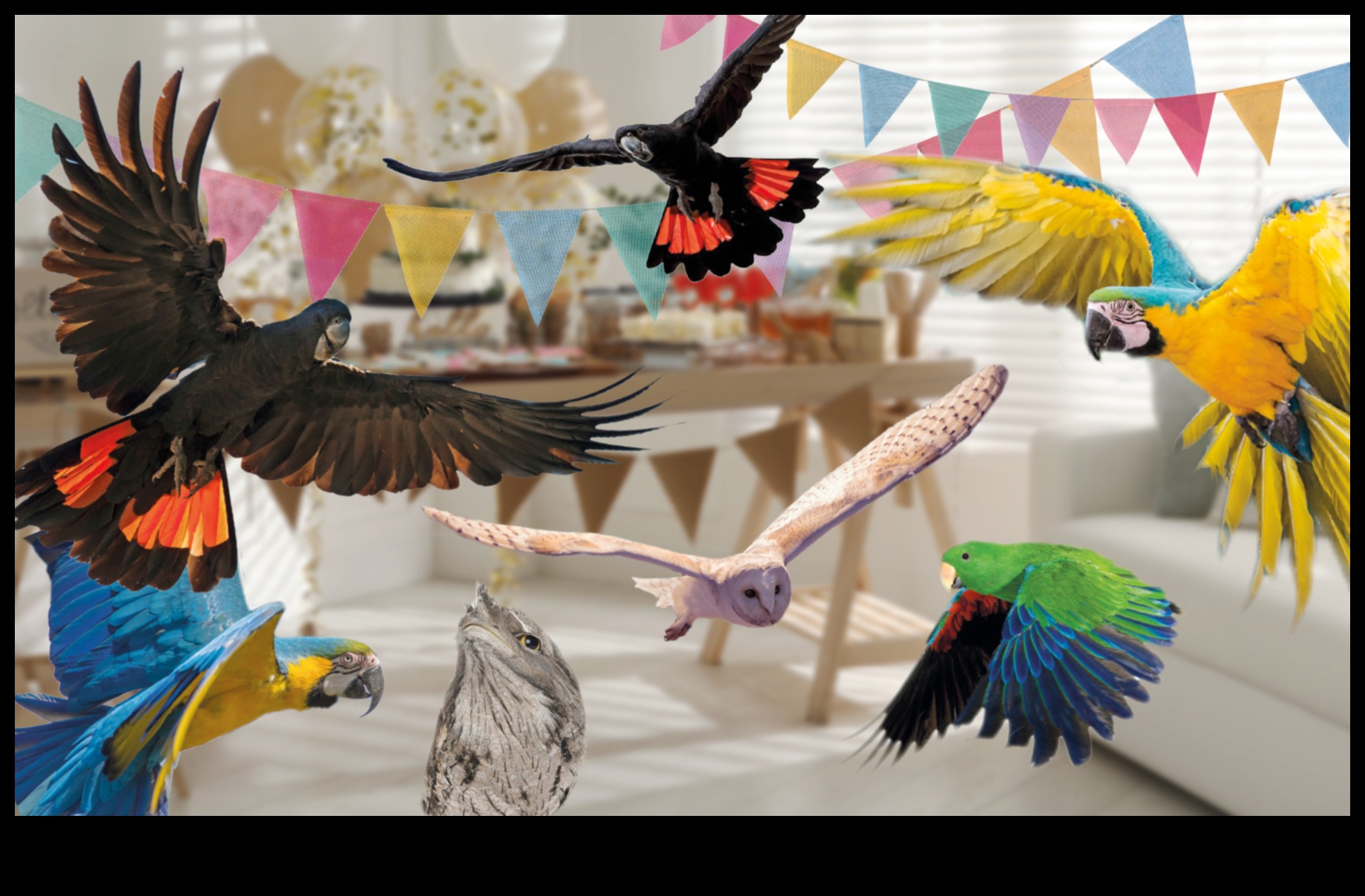 Feathered Friends' Fiesta: Celebrating with Pet Birds