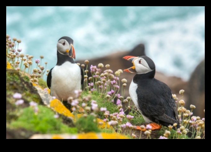 Feathered Friends: Understanding Avian Behavior