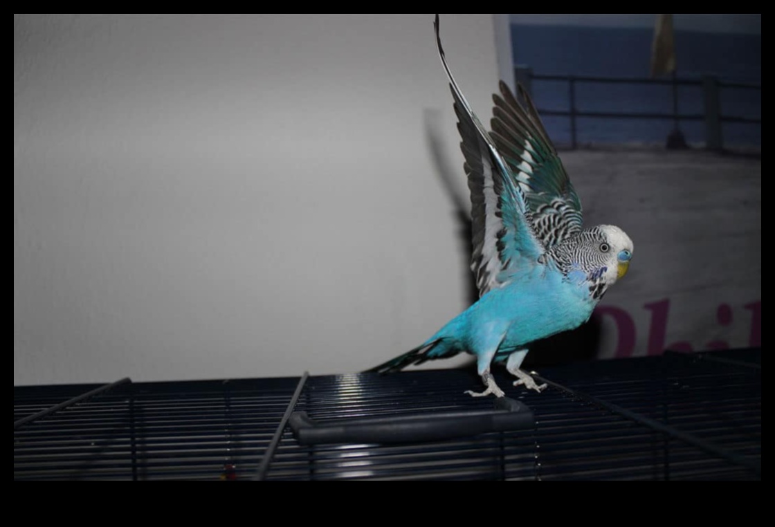 Feathered Friends: Understanding Avian Behavior